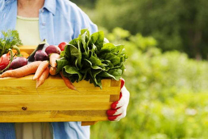 локальные продукты
