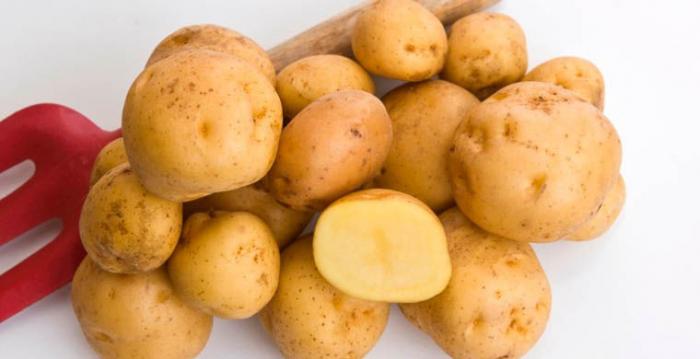 Самые дорогие продукты мира