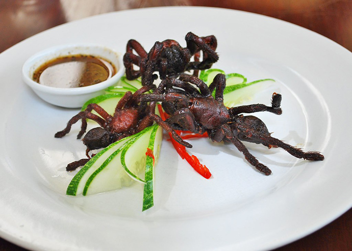 Тарантул Тарантул